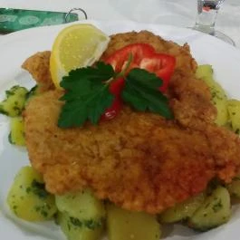 Alföld Gyöngye Hotel, Orosháza - Vendéglátás