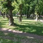 Parton Hotel Tiszakécske - Környék