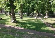 Parton Hotel Tiszakécske