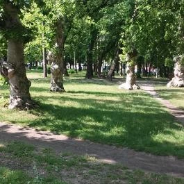 Parton Hotel, Tiszakécske - Környék