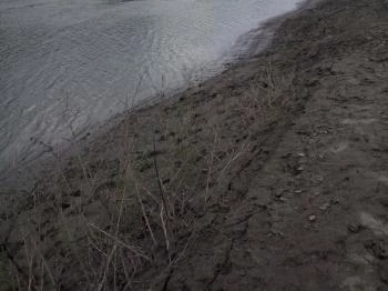 Parton Hotel Tiszakécske