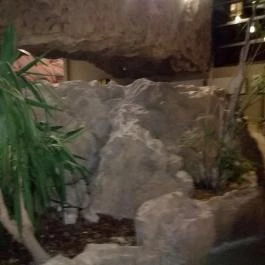 Aquaworld Resort Élményfürdő Budapest, Budapest - Egyéb