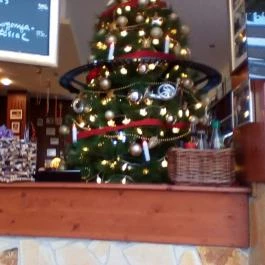 Aranykorona Vendéglő és Hotel , Solymár - Egyéb