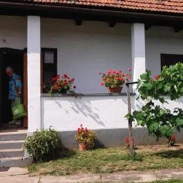 Becsky-Kossuth-Kúria, Komlódtótfalu - 