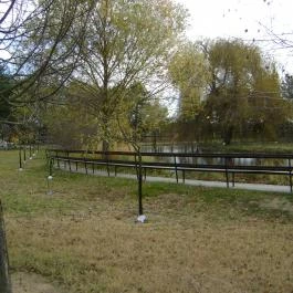 Bodrogi Kúria Wellness Hotel, Inárcs - Környék