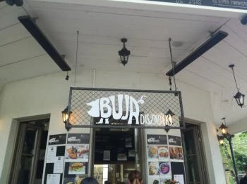 Buja Disznók - Liget Budapest