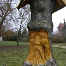 Misefa Kastély Misefa - Környék