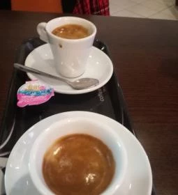 Champion Pékség II.