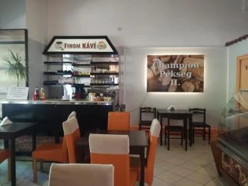 Champion Pékség II. Siófok