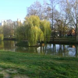 Corvin Hotel, Gyula - Környék