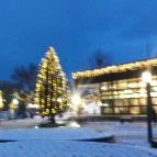 Corvin Hotel Gyula - Környék