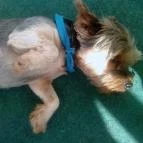 Csillagfény Vendégház Egerszalók - Egyéb