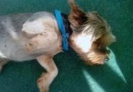 Csillagfény Vendégház Egerszalók Csillagfény Vendégház Egerszalók