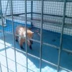 Csillagfény Vendégház Egerszalók - Környék