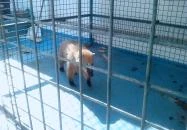 Csillagfény Vendégház Egerszalók Csillagfény Vendégház Egerszalók