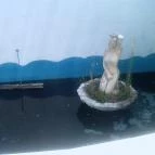 Csillagfény Vendégház Egerszalók - Környék