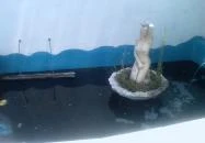 Csillagfény Vendégház Egerszalók Csillagfény Vendégház Egerszalók