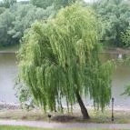 Duna Wellness Hotel Baja - Környék