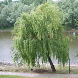 Duna Wellness Hotel, Baja - Környék