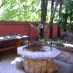 Ebatta Kultúrkocsma Pizzakuckó Százhalombatta - Külső kép