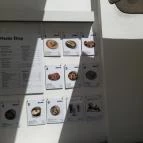 Édes Mackó Kürtőskalács-Cukrászda Budapest - Egyéb