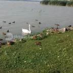 Emil Panzió Balatongyörök - Környék