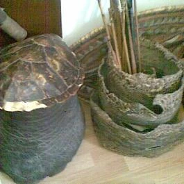 Emil Panzió, Balatongyörök - Egyéb