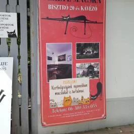 Fekete Macska Sárospatak - Egyéb