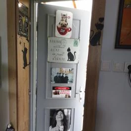 Fekete Macska Sárospatak - Egyéb