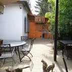 Fekete Macska Sárospatak - Egyéb