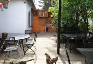 Fekete Macska Sárospatak