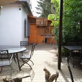 Fekete Macska Sárospatak - Egyéb