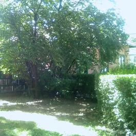 Fióka, Budapest - Egyéb