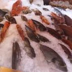 Fishmonger GOBUDA Budapest - Egyéb