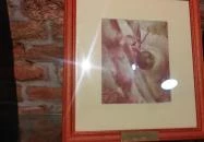 Garay ÉlményPince Szekszárd