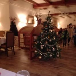 Halász Vendéglő, Vecsés - Egyéb