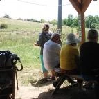 Hegedűs Vendéglő Alcsútdoboz - Egyéb