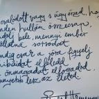 Hemingway Étterem Budapest - Egyéb