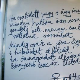 Hemingway Étterem, Budapest - Egyéb