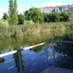 Hemingway Étterem Budapest - Egyéb