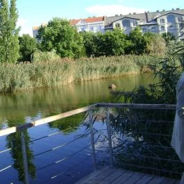 Hemingway Étterem, Budapest - Egyéb