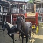 Henryx Western City Császár - Egyéb