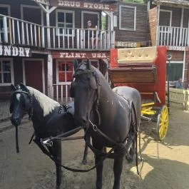 Henryx Western City Császár - Egyéb