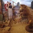 Henryx Western City Császár - Egyéb