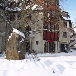 Hotel Bodrog Wellness Sárospatak - Külső kép