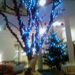 Hotel Kalma, Hévíz - Belső