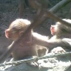 Hotel Mediterrán Pécs - Egyéb