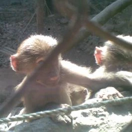 Hotel Mediterrán, Pécs - Egyéb