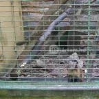 Hotel Mediterrán Pécs - Egyéb