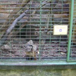 Hotel Mediterrán, Pécs - Egyéb